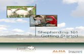 Shepherding 101 Getting Started - ablamb.ca · Shepherding 101 - Getting Started February 2013 building in parts of the country, with the number of ewes and lambs kept for breeding