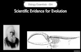 Biology Essentials - 004 · Biology Essentials - 004 bozemanscience.com. Evolution Evidence Biogeography Fossils Homologies DNA and ! Proteins Mathematical! models Galapagos! species