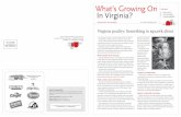 What’s Growing On - agclassroom.org · What’s Growing On In Virginia? is a semiannual publication for Virginia ... celebrations. The Native Americans and colonists might have