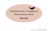 Created by teacherandthetots€¦ · • Learning Resources Jumbo Magnifier • Backyard Birds TOOB and/or Exotic Birds TOOB ... North American Birds • Learning Resources Birds