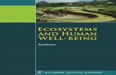 MILLENNIUM ECOSYSTEM ASSESSMENT Ecosystems AND …oas.org/dsd/Tool-kit/Documentos/ModuleIdoc/Summary for Decision-Makers.pdf · Ecosystems and Human Well-being: Synthesis 1 Summary