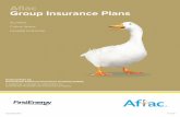 Aflac Group Insurance Plans - EBView€¦ · Critical Illness Hospital Indemnity AGC1802278R1 IV (5/19) Underwritten by: Continental American Insurance Company (CAIC) In California,