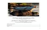 Harbor seal species profile - Encyclopedia of Puget Sound · “feather-footed” seals, sea lions, and walruses, lie within the order Carnivora (Committee on Taxonomy, 2014). Here,