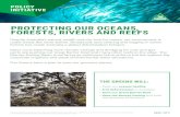 Protecting our Oceans, Forests, Rivers and Reefs – Greens ... 2019 Policy... · PROTECTING OUR OCEANS, FORESTS, RIVERS AND REEFS Despite Australia’s natural wealth and our love