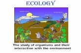 Ecology208.93.184.5/~jones/Biology/eco.pdf · Ecology •Tolerance Curve – the range of conditions in which an organism can survive •Acclimation – the process of adjusting an
