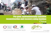 Pro-poor, environmentally sensitive reconstruction and ... · Pro-poor, environmentally sensitive reconstruction and recovery using bamboo China In partnership for a better word Dr.