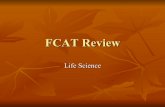 FCAT Review - Apopka Memorial Middle School 8th Grade ...FCAT Review Life Science . ... Passive Transport Active Transport Exocytosis Endocytosis . Cellular Respiration organisms use
