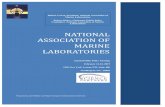 NATIONAL ASSOCIATION OF MARINE LABORATORIES - … Winter/Feb 2019 NAML Meeting Background Book.pdfFSP ENVELOPE FINAL.jpg NATIONAL ASSOCIATION OF MARINE LABORATORIES Annual Public Policy