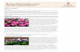 BYGL Newsletter | Buckeye Yard & Garden onLine · 2017-08-31 · According to Allan Armitage, in "Herbaceous Perennial Plants, A Treatise on their Identification, Culture, and Garden