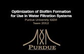 Optimization of Biofilm Formation for Use in Water ...2012.igem.org/files/presentation/Purdue.pdf · Optimization of Biofilm Formation for Use in Water Filtration Systems ... •