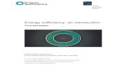 Energy sufficiency: an introduction · Energy sufficiency: an introduction Concept paper Sarah Darby & Tina Fawcett Environmental Change Institute, University of Oxford ... It does