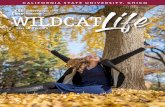 CALIFORNIA STATE UNIVERSITY, CHICO WILDCATLife · 6:00 PM for Thanksgiving . 11/19 – 11/23/18 Thanksgiving Break – No classes held ... so stay connected on our social media to