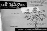 University of Illinois Agricultural Extension Station Circular · 2015-05-27 · areas of Illinois. Two closely related types of red clover, medium red and mam moth, are grown. Both