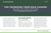 THE TENNESSEE VEGETABLE GARDEN“The Tennessee Vegetable Garden — Garden Planning, Plant Preparation and Planting”). These crops produce optimally under warmer temperatures and