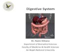 Digestive System - An-Najah Staff · surface areas for the fat-digesting enzymes to work on. • Bile salts also facilitate fat and cholesterol absorption. • In addition, they help