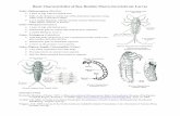 Basic Characteristics of Key Benthic Macro-Invertebrate Larvae · A Guide to Common Freshwater Invertebrates of North America. McDonald and Woodward, Blacksburg, Virginia. 447 pp.