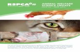 ANIMAL WELFARE SCIENCE UPDATE - RSPCA Australia · investigated the effects of clicker training on the behaviour of shelter cats. Twelve shelter cats from a UK animal shelter were