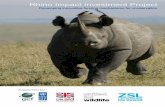 Rhino Impact Investment Project...success. Criteria for success in the Rhino Impact Investment model Clearly defined outcome metrics: Well defined and relevant measures of success