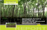 Forests of the Southeastern U.S. REPORT - Home - …...This guide aims to help forest owners, natural resource managers, and the communities that depend on bottomland hardwood forests