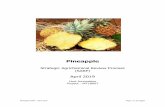 Pineapple - Horticulture Innovation Australia · produced, with a production value of $53.4 million. Some 47,206 tonnes (62%) of pineapples were sent to the fresh market in 2017/18,