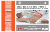 N A L TH E AL HMI O S I T A O N - karunadu.karnataka.gov.in Diabetic Foot.pdf · Incidence of Diabetic foot in India 5 Recommendations 7 Prevention 9 Assessment, Classification and