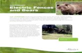 BEARSMART Electric Fences and Bears€¦ · Electric Fences and Bears BEARSMART our challenge People living and working in bear country will, at times, experience bears. Often bears