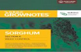SORGHUM - Home - GRDC · No-till or minimum tilled systems, sorghum and cotton crops High table 2: List of potential new resistant weeds in northern NSW (as at November 2016). weed