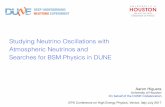 Studying Neutrino Oscillations with Atmospheric …Studying Neutrino Oscillations with Atmospheric Neutrinos and Searches for BSM Physics in DUNE Aaron Higuera University of Houston
