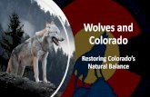 Wolves and Coloradoccionline.org/download/CCI-presentation.pdfThreat •The absence of wolves for more than 75 years has upset Colorados natural balance, harming wildlife, habitat,