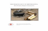 ARCHAEOLOGY IN MINNESOTA · 2019-06-01 · ARCHAEOLOGY IN MINNESOTA: 2013 Project Report Summaries Bruce Koenen, Research Assistant Office of the State Archaeologist, St. Paul July