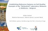 Example of the “ReQuaSud” Laboratory Network · 2013-06-30 · Soil fertility and environment Characterization and management of contaminated soils . Our questions ... Biogeochemical