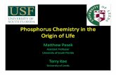 Phosphorus Chemistry in the Origin of LIfeconference.astro.ufl.edu/STARSTOLIFE/science_final/talks/...Hypothesis • Phosphorylaon on the early earth required meteoric phosphorus to