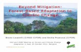 Beyond Mitigation: Forest-Based Adaptation to Climate Change€¦ · THINKING beyond the canopy Linkages between forests and adaptation are twofold Adaptation for forests • CC will