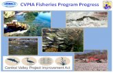CVPIA Fisheries Program Progress...2013/01/17  · CVPIA: The Doubling Goal Chinook Salmon Natural Production Targets Central Valley 990,000 Fall Run 750,000 Late-Fall Run 68,000 Spring