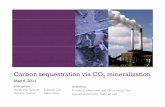 Carbon sequestration via CO2 mineralization · Combining Capture and Sequestration Provides Proo s g Oppo tu t esmising Opportunities 1. BYPASS CARBON CAPTURE Value Proposition -