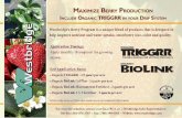 Strawberry postcard front - Environmental Products · Title: Strawberry postcard front.eps Created Date: 4/15/2009 9:48:34 AM