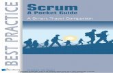 Copyright protected. Use is for Single Users only via a ... · (Ralph Jocham, Agile Professional, eff ective agile.) ‘Th e house of Scrum is a warm house. It’s a house where people