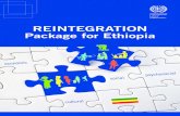 REINTEGRATION Package for Ethiopia - ITCILO | SURE€¦ · Reintegration Package for Ethiopia Dr Katie Kuschminder and Dr Alexandra Ricard Guay European University Institute ... 1.3