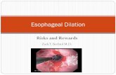 Esophageal Dilation - MEDtube.net · Benign reflux induced strictures: graded stepwise dilation between 13-20mm gives good relief in 85-93% of cases. PPI therapy at usual or (double