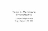 Tema 3. Membrane Bioenergeticsacademic.uprm.edu/~lrios/4368/Tema 3BIOL4368.pdf · Tema 3. Membrane Bioenergetics The proton potential Cap. 3 pages 83-119. Chemiosmotic theory States