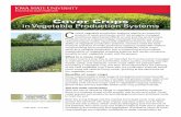 Cover Crops in Vegetable Production Systems C - MCCCmccc.msu.edu/.../IA_2015_Cover-Crops-in-Vegetable-Production-Syst… · Cover crops provide a wide range of ecological and environmental