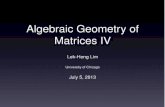 Algebraic Geometry of Matrices IVindico.ictp.it/event/a12193/session/30/contribution/25/material/0/0.pdf · Algebraic Geometry of Matrices IV Lek-Heng Lim ... P. Kek¨ al¨ ainen,