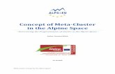 121012 Final Concept Meta-Cluster for the Alpine …Concept of Meta-Cluster 3 A cluster initiative normally involves: 1. Different member firms and organizations (three main types