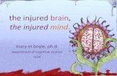the injured brain, the injured mind - UCSD Cognitive Sciencemboyle/COGS11/COGS11-website... · Erik Brady and Gary Mihoces, USA TODAY Sports Word came Thursday that Seau had a degenerative