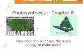 Photosynthesis – Chapter 8mbenzing-biology.weebly.com/.../0/3/110365537/bio_ch._8_photosyn… · It all begins with photosynthesis, the process that converts the air we breathe