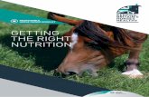 getting the right nutrition - Veterinary Services · getting the right nutrition 3 A balanced diet is crucial in helping ... is balanced with vitamins and minerals. Always feed at
