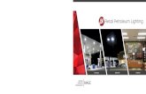Retail Petroleum Lighting - LSI Industries Retail Petroleum Lighting Canopy Exterior Interior 10000