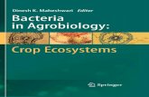 Bacteria in Agrobiology: Crop Ecosystemsdl.booktolearn.com/ebooks2/engineering/agriculture/9783... · 2019-06-23 · The book entitled Bacteria in Agrobiology: Crop Ecosystems has