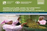 AGRICULTURE AND ECONOMIC TRANSFORMATION IN THE …indiaenvironmentportal.org.in/files/file/Agriculture and economic... · CONTENTS ABOUT IFPRI 2 ACKNOWLEDGMENTS 7 1. INTRODUCTION