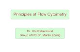 Principles of Flow Cytometry - Goethe University Frankfurt€¦ · Flow Cytometry Staining with Antibodies, dyes... Expression of Fluorescence ... events/sec) for the measurement